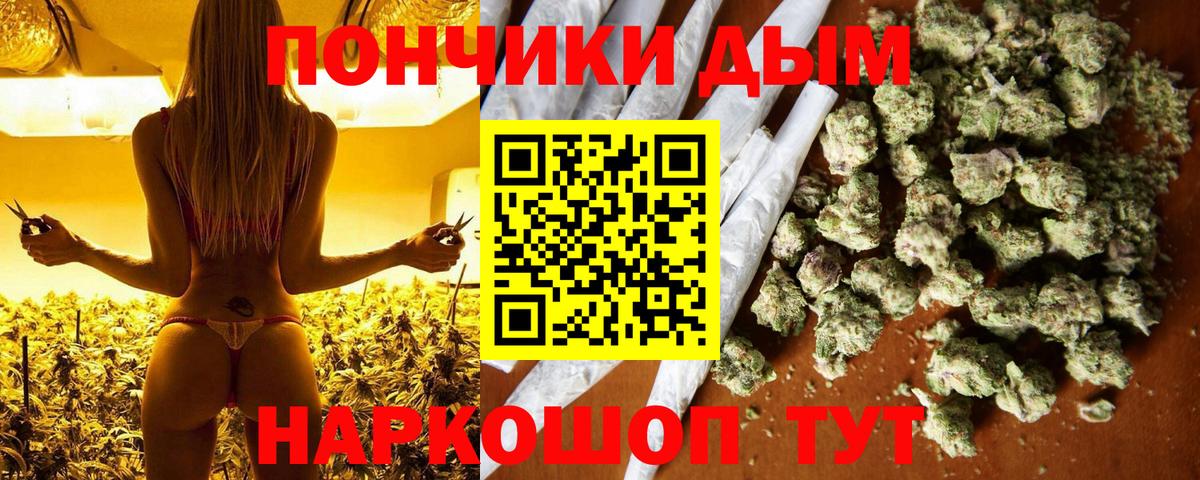 Бошки Шишки планчик  Вход с VPN  МАРИХУАНА White Widow  Сегежа  МАРИХУАНА план  Бошки марихуана White Widow 